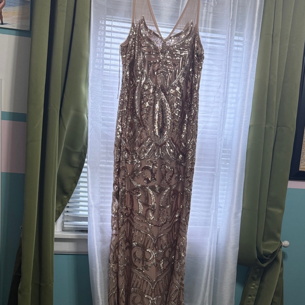 Adrianna Papell Blush Evening Dress